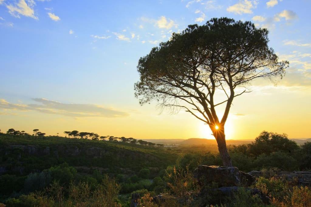 Orange Sunset Διαμέρισμα Ντραγκινιάν Εξωτερικό φωτογραφία